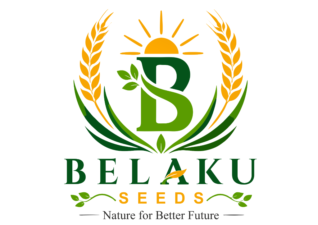 Belaku Seeds Logo