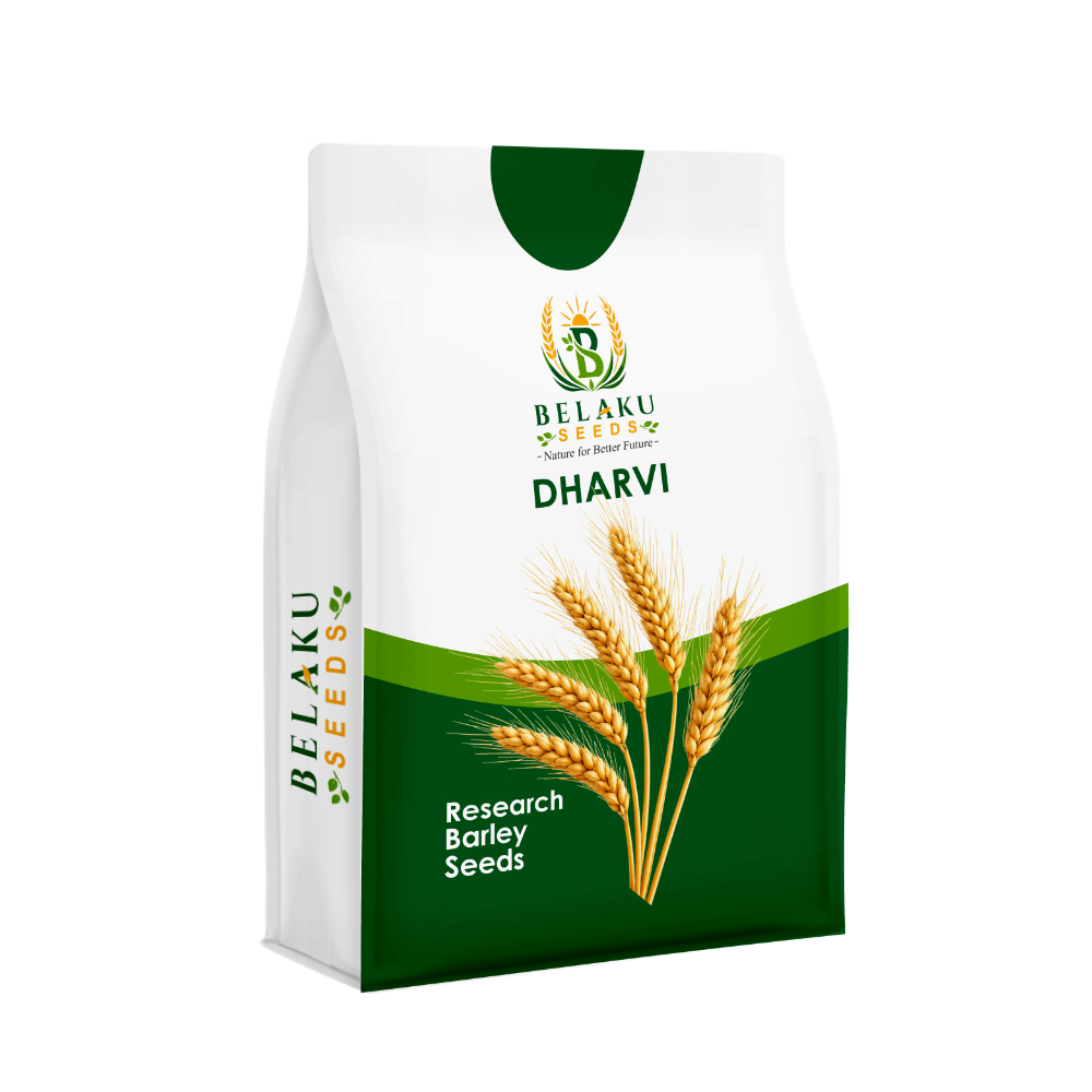 Dharvi Packet