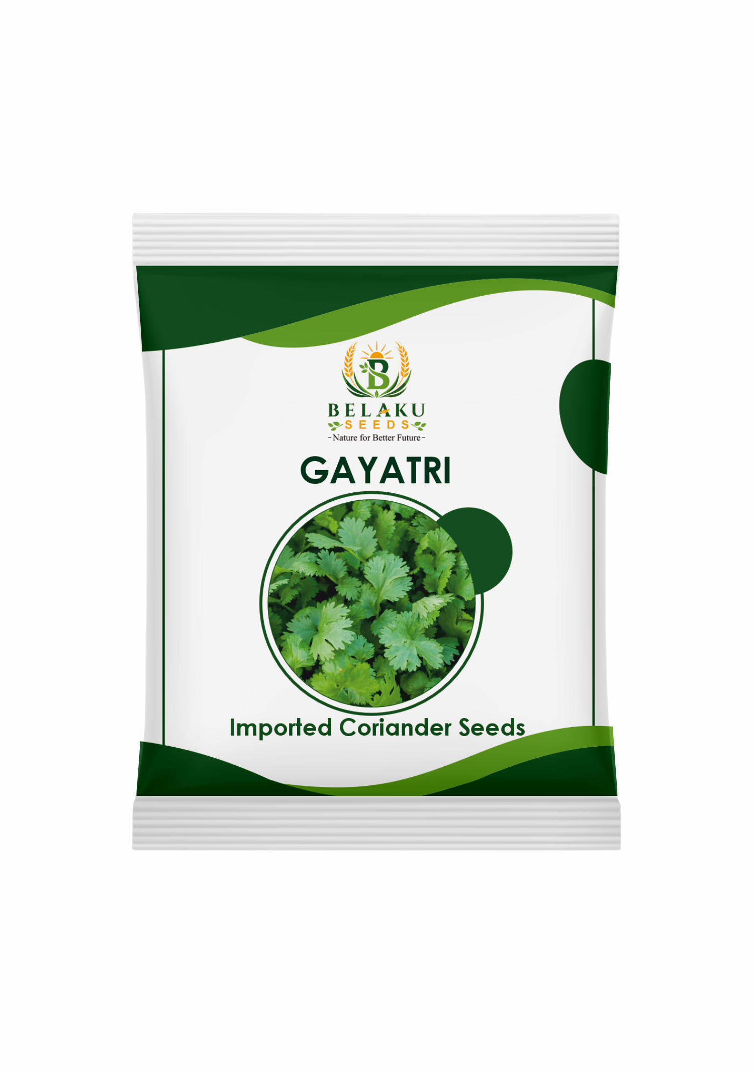Gayatri Packet