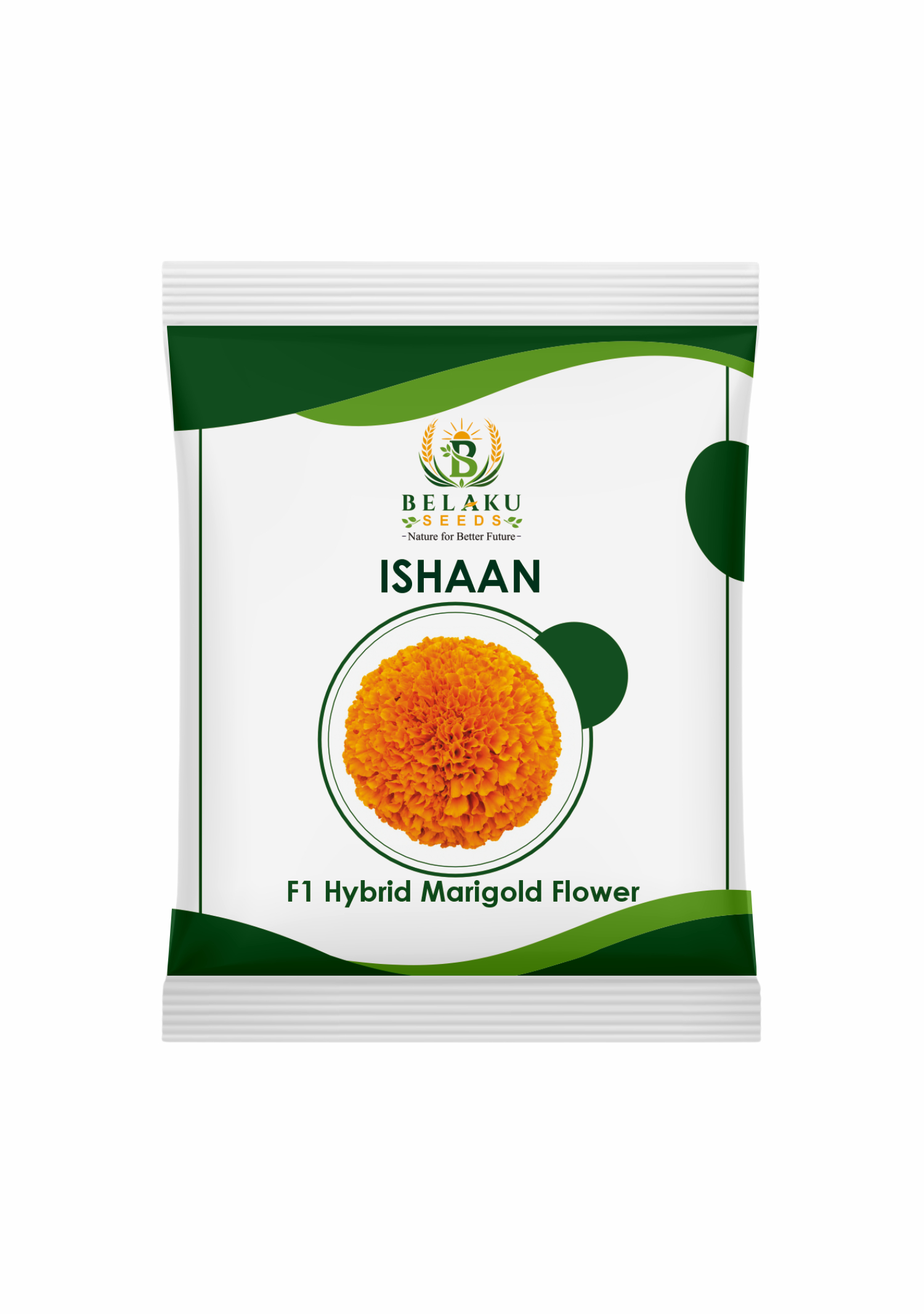 Ishaan Packet