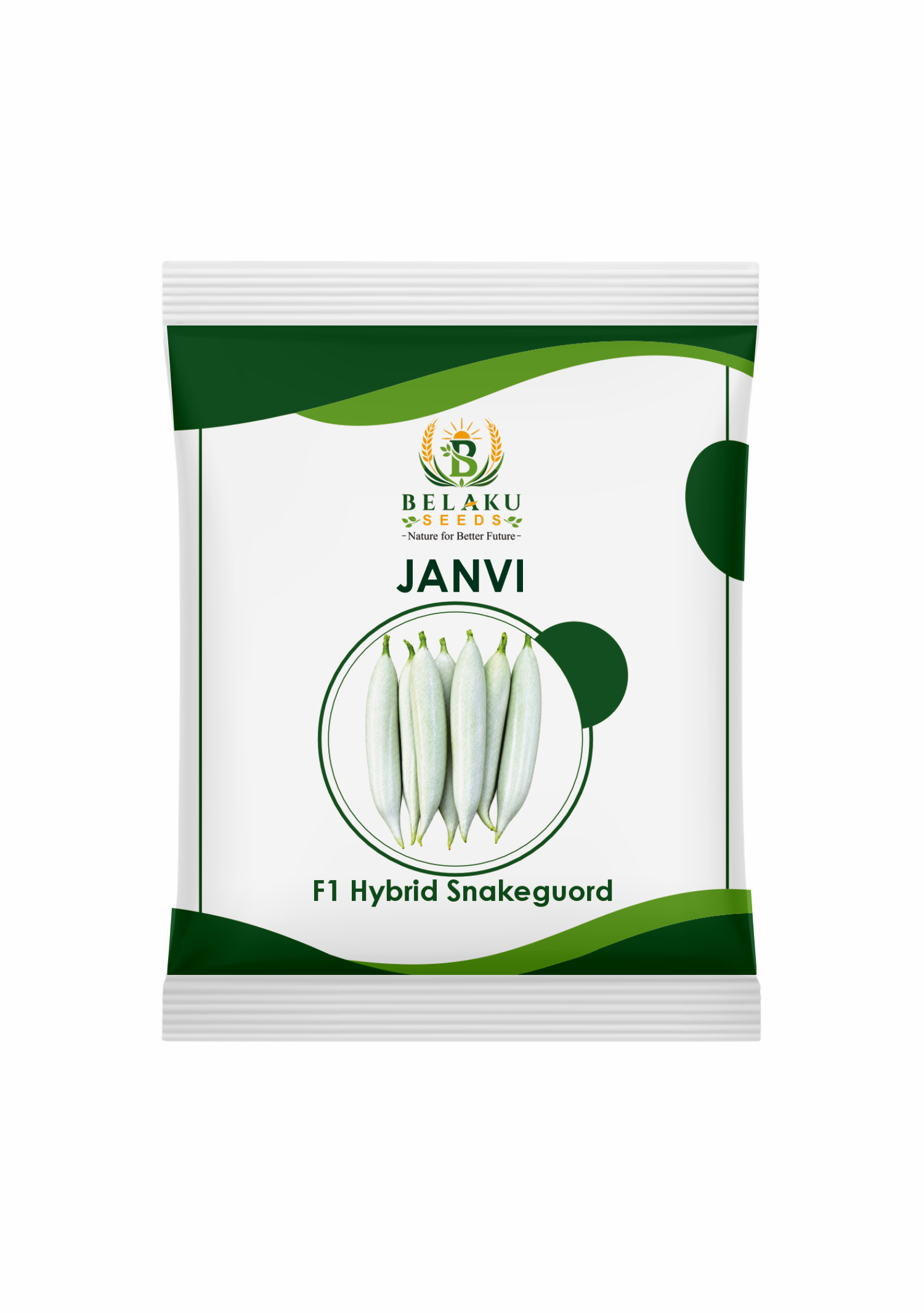 Janvi Packet