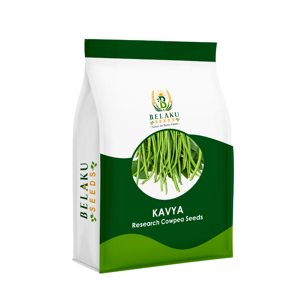 Kavya Packet