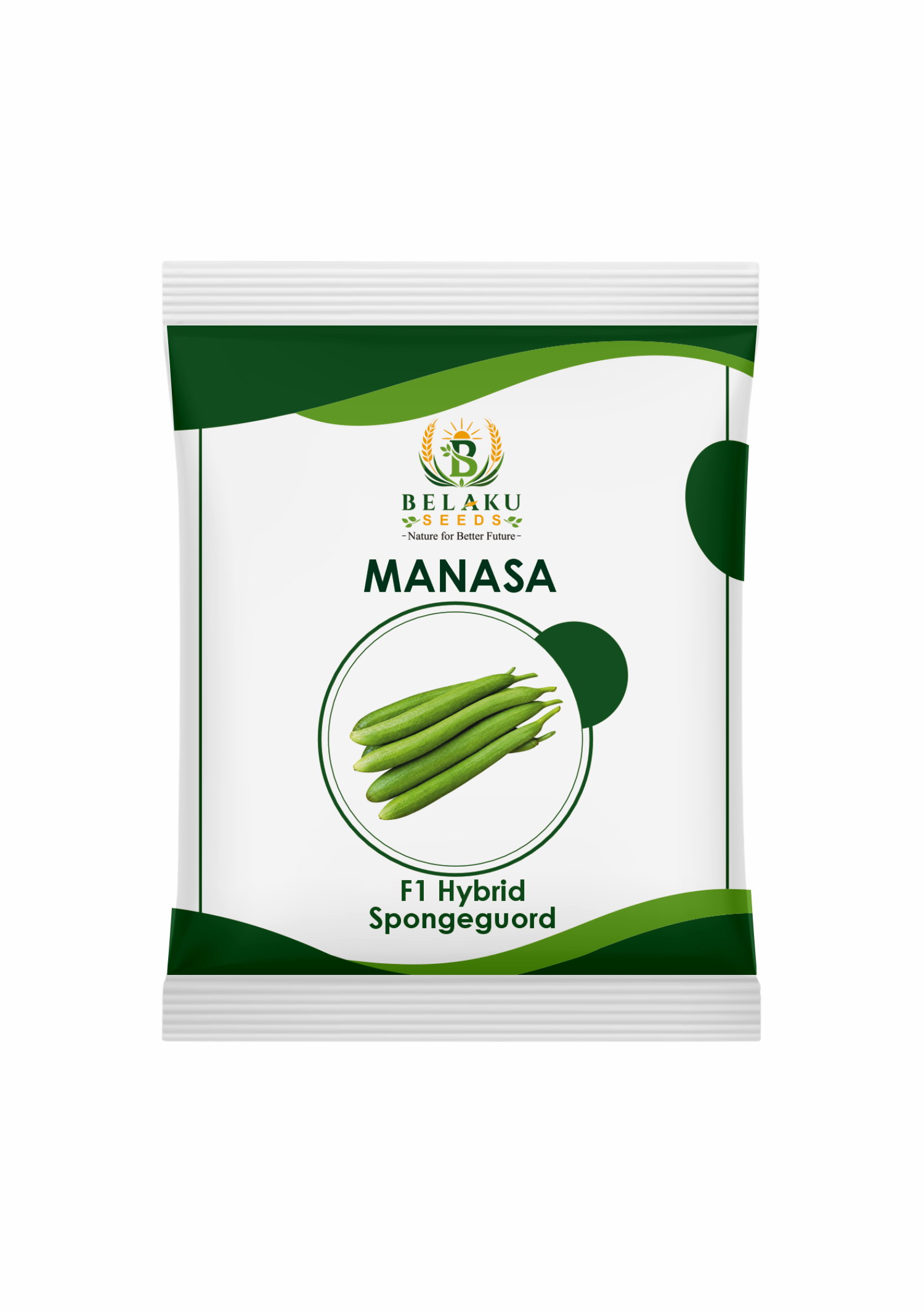 Manasa Packet
