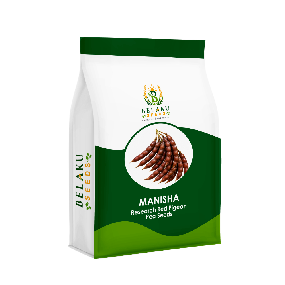 Manisha Packet