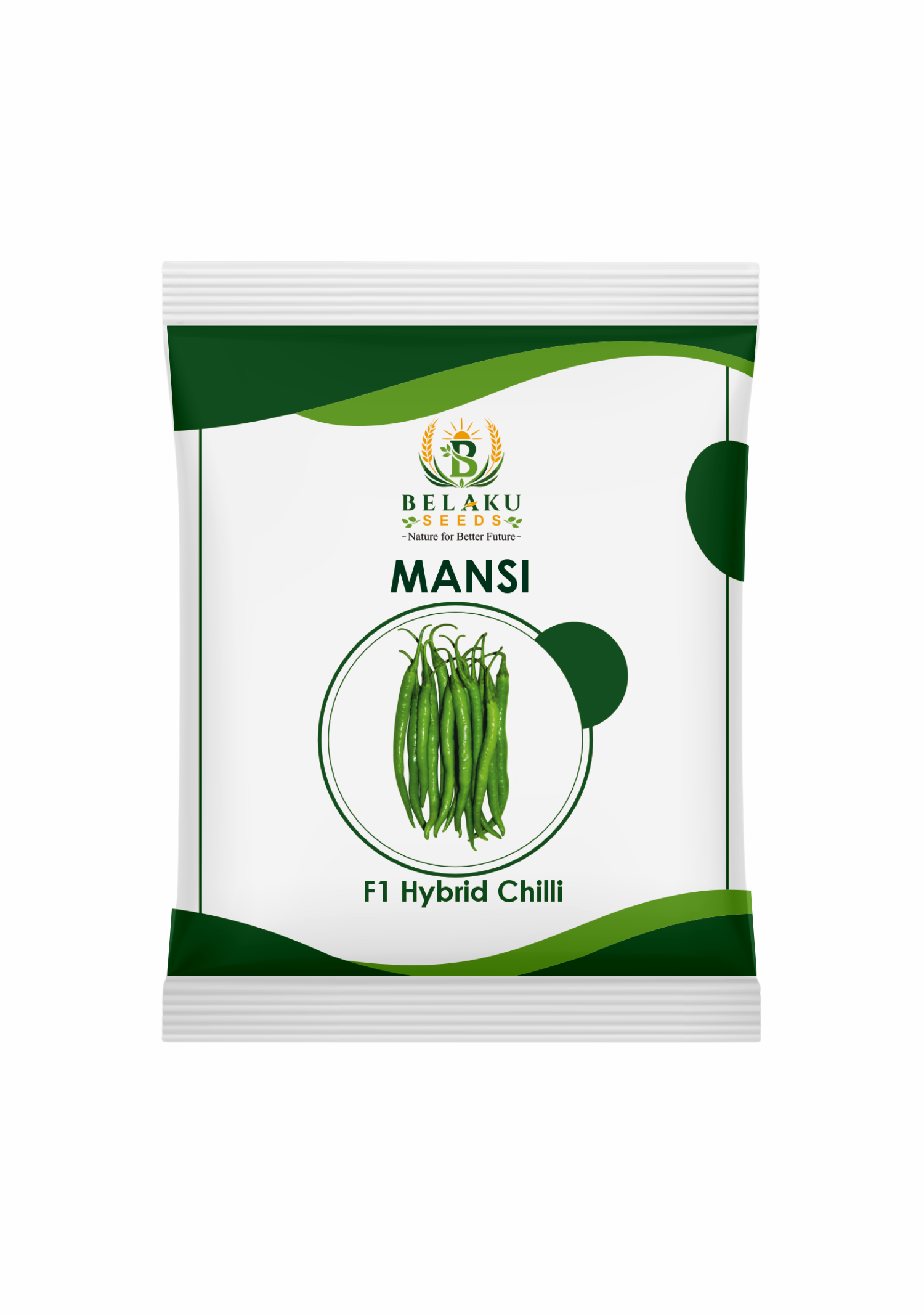 Mansi Packet