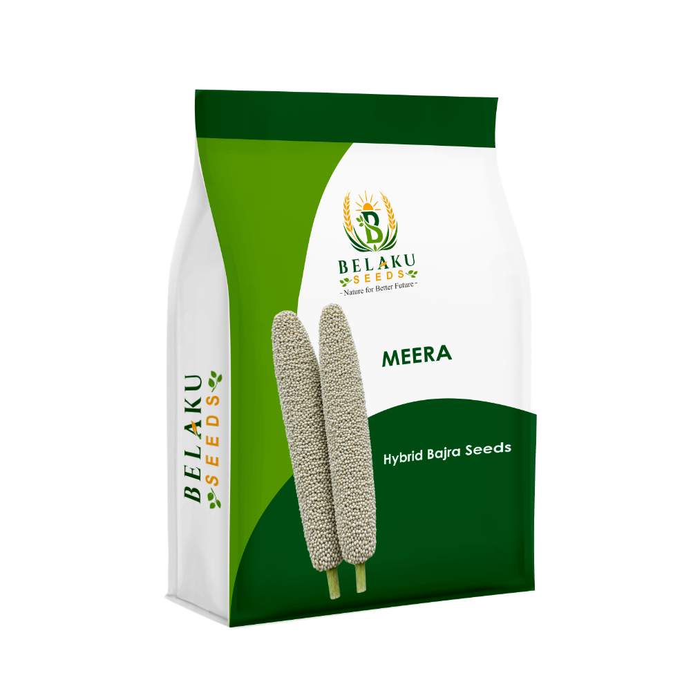 Meera Packet