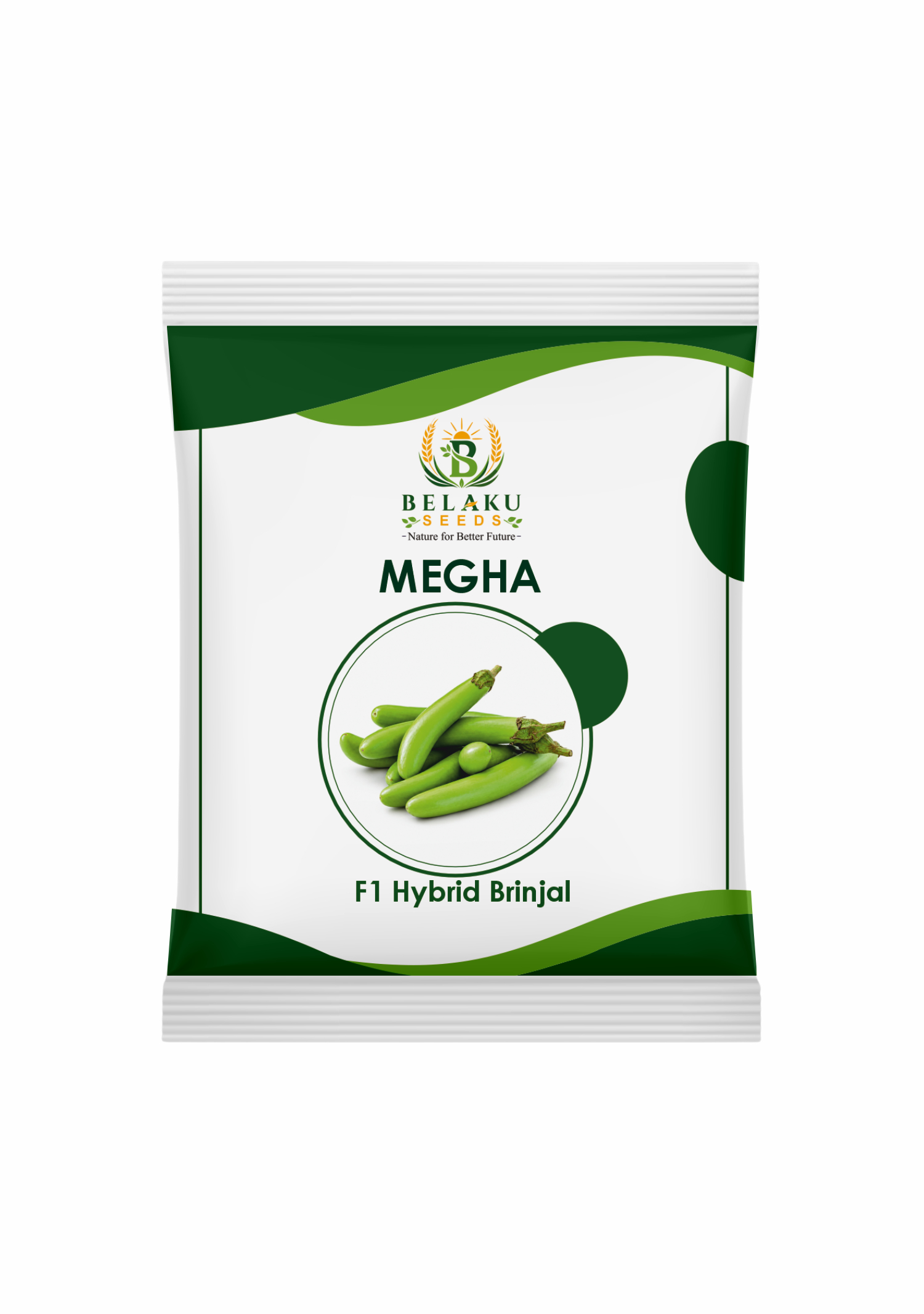 Megha Packet