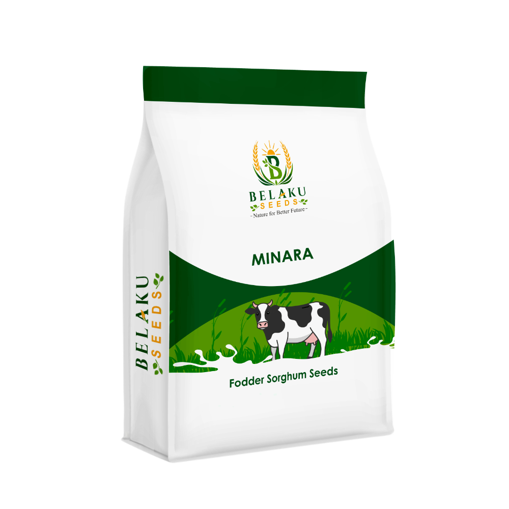 Minara Packet