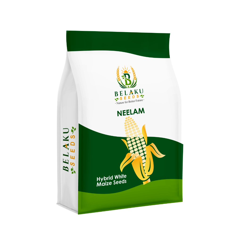 Neelam Packet