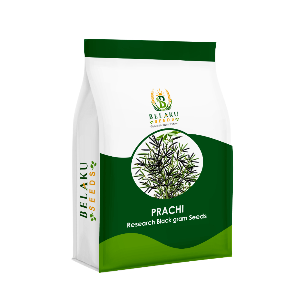 Prachi Packet