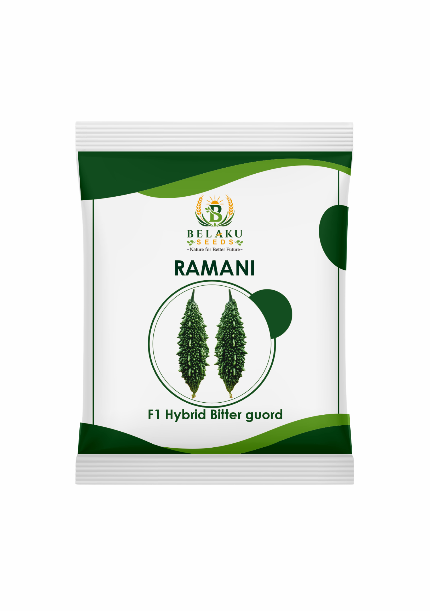Ramani Packet