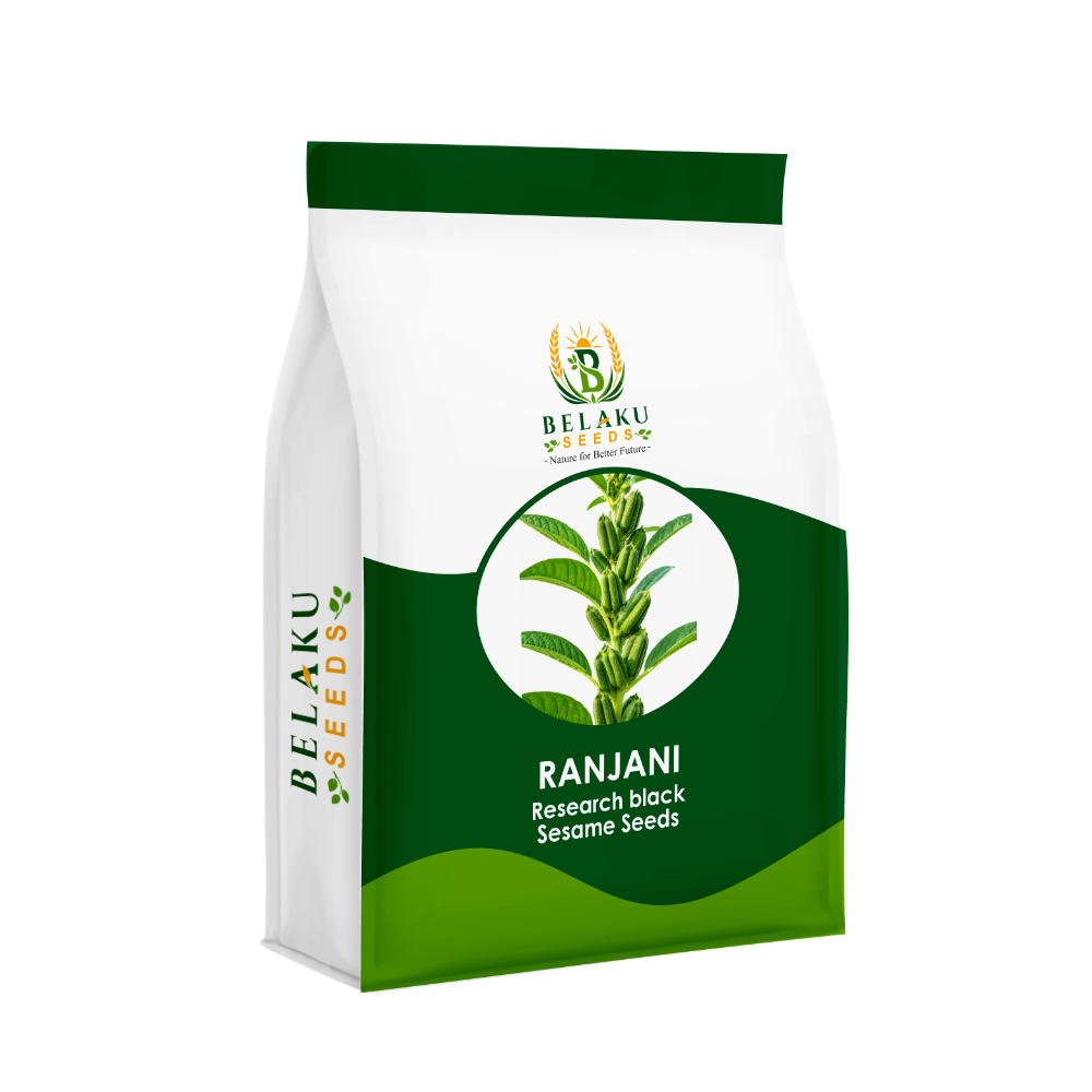 Ranjani Packet