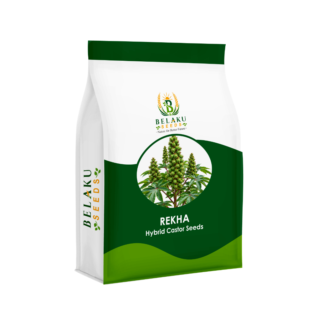 Rekha Packet