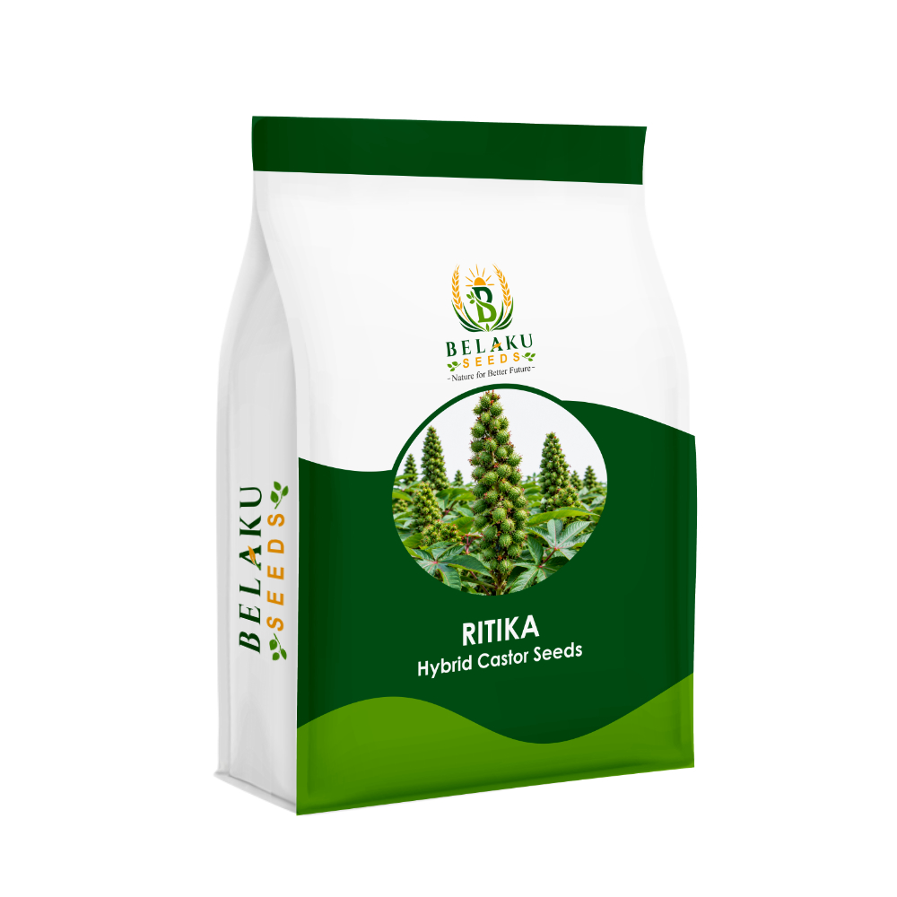 Ritika Packet