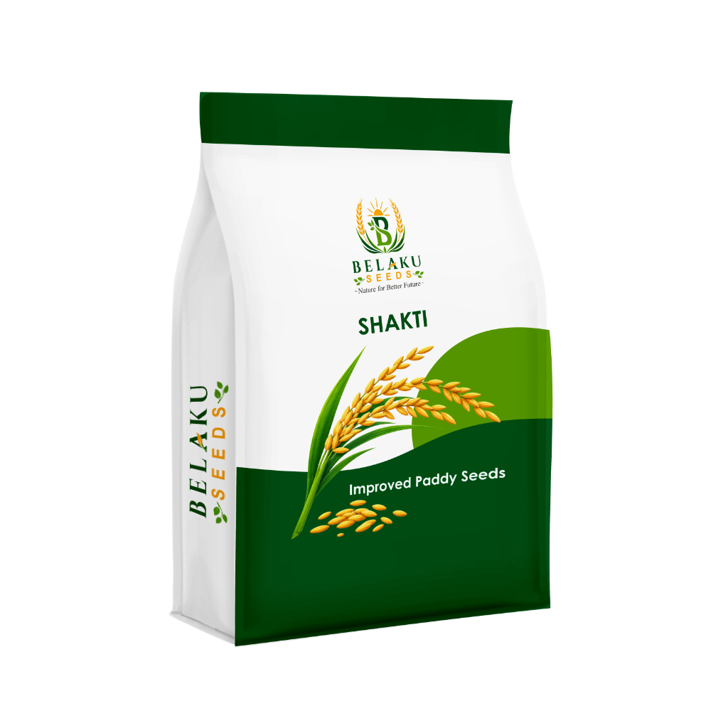 Shakti Packet
