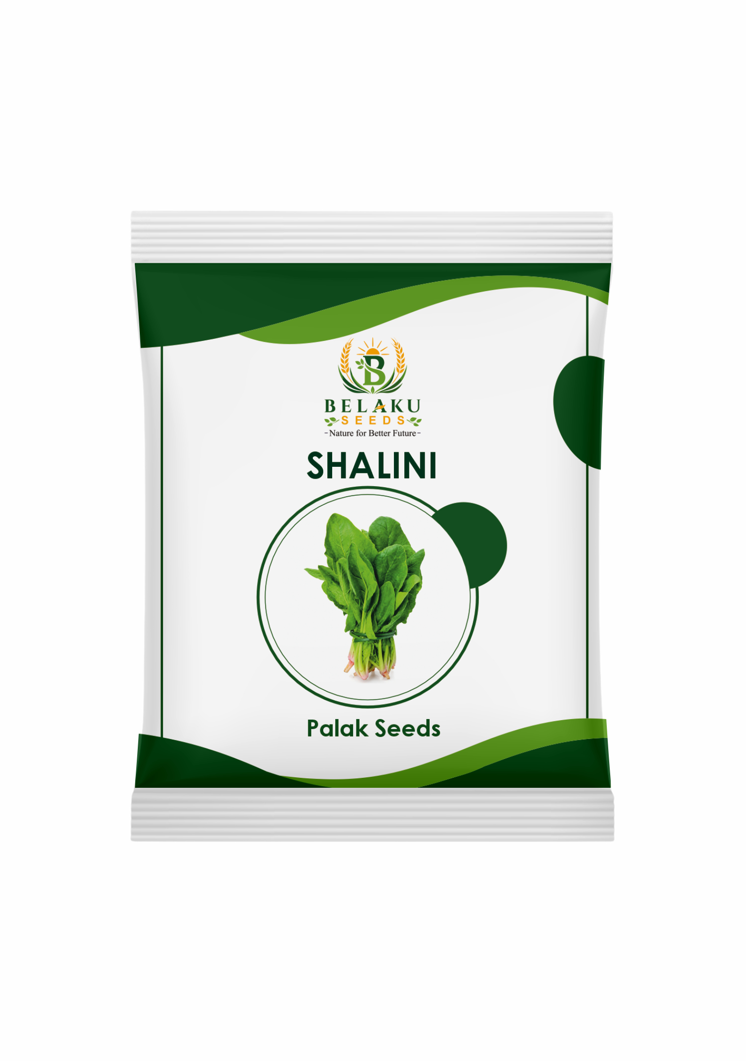 Shalini Packet