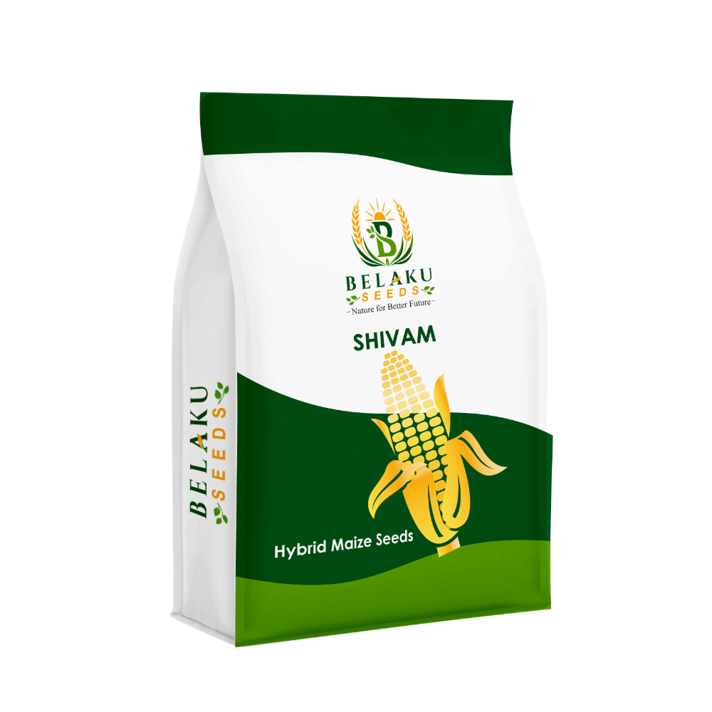 Shivam Packet