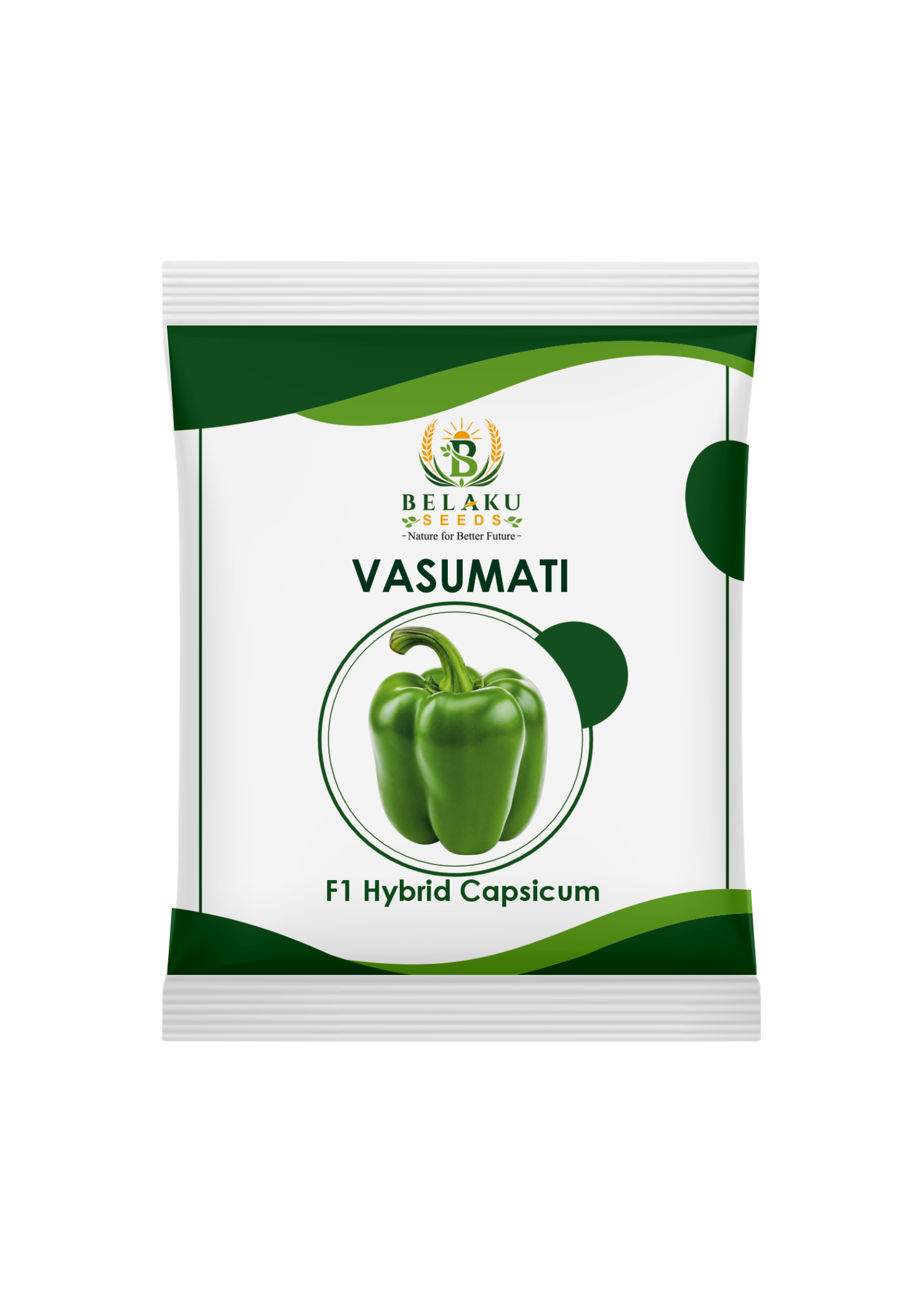 Vasumati Packet