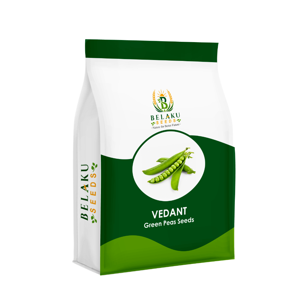 Vedant Packet
